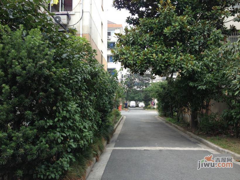 园艺新村实景图图片
