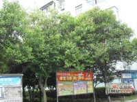 艾山新村实景图31