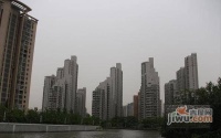 大上海国际花园马赛园实景图图片