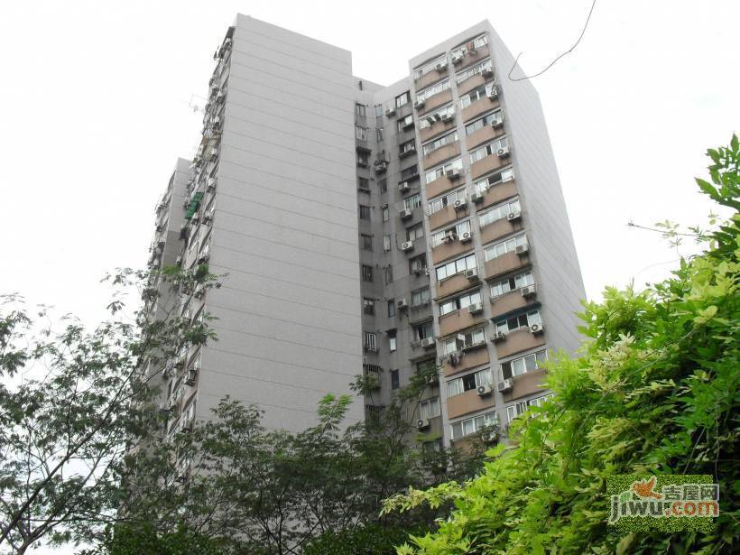 龙柏易居公寓实景图图片