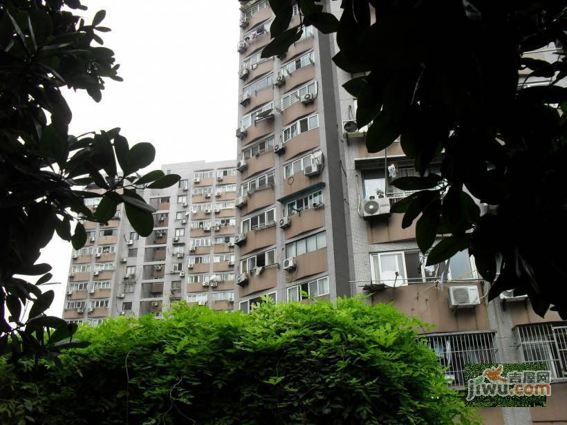 龙柏易居公寓实景图图片