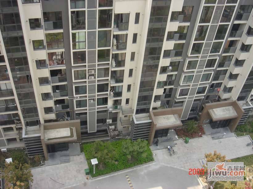 大华铂金华府实景图图片