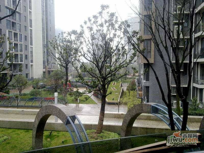 大华铂金华府实景图图片