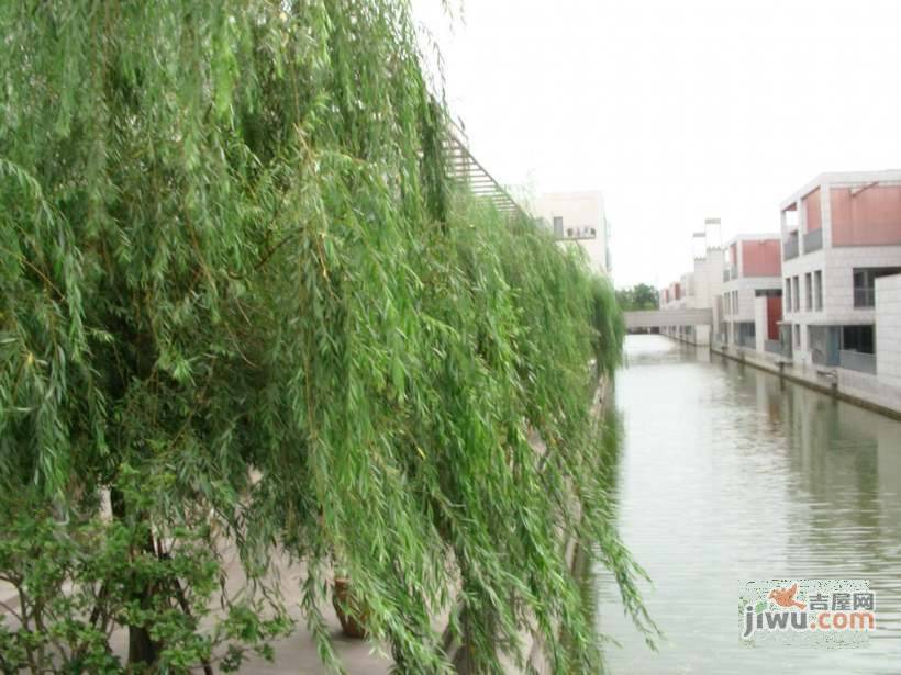 浦江华侨城实景图图片