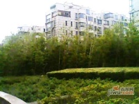 上海家园实景图图片
