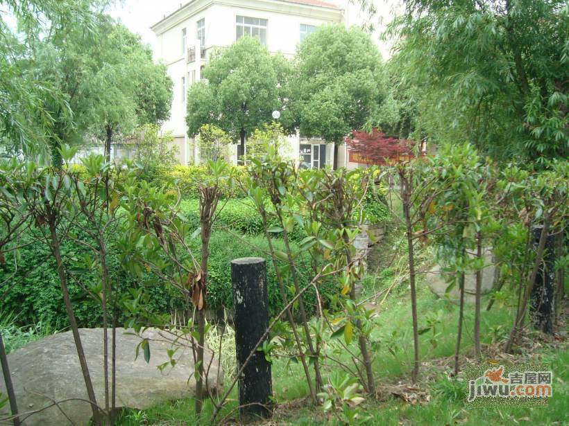 君莲生活小区实景图图片