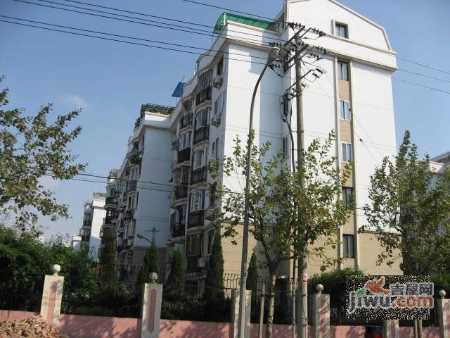 金泽苑实景图图片