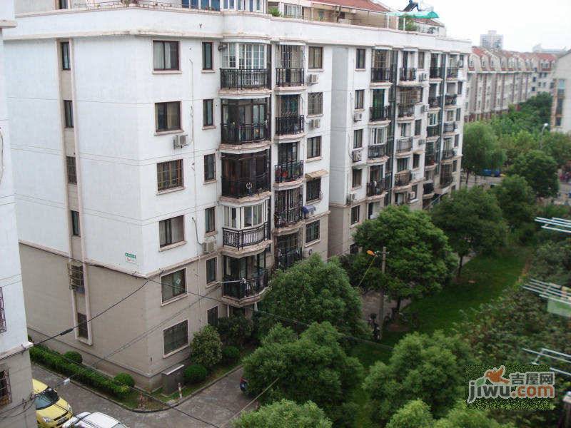 金泽苑实景图图片