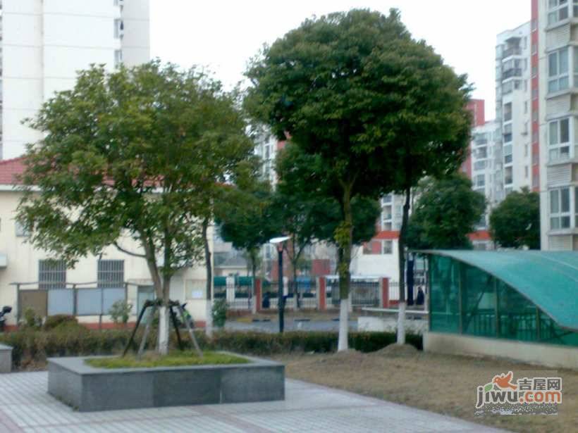 景舒苑九村实景图图片