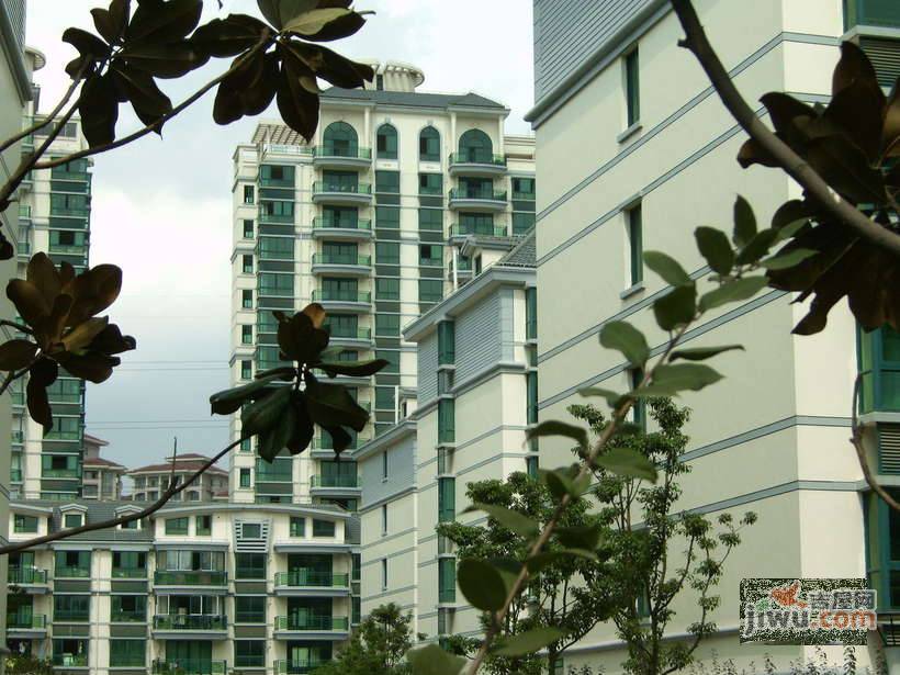 馨康苑实景图图片