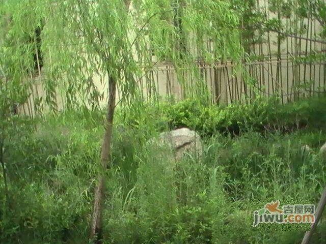 南郊中华园实景图图片