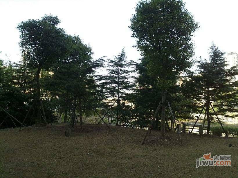 丽江佳苑实景图图片