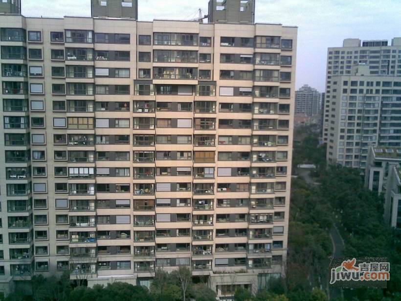 大华铂金华府实景图图片