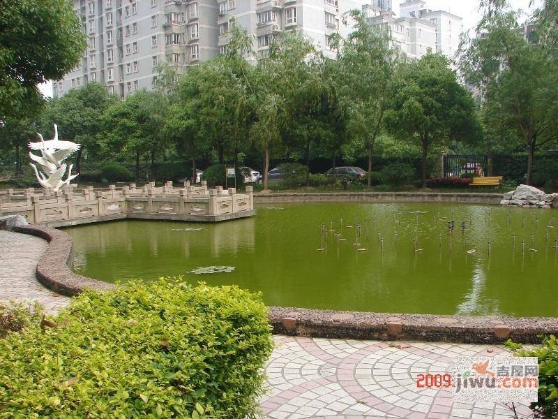 卢湾城市花园实景图图片