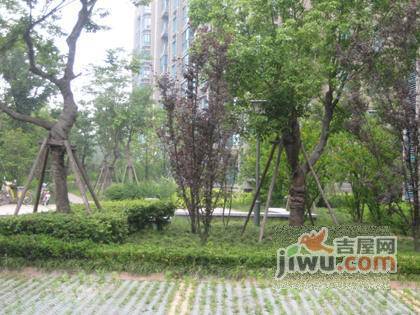 东明花苑实景图图片