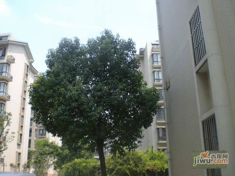 新天地荻泾花园实景图图片