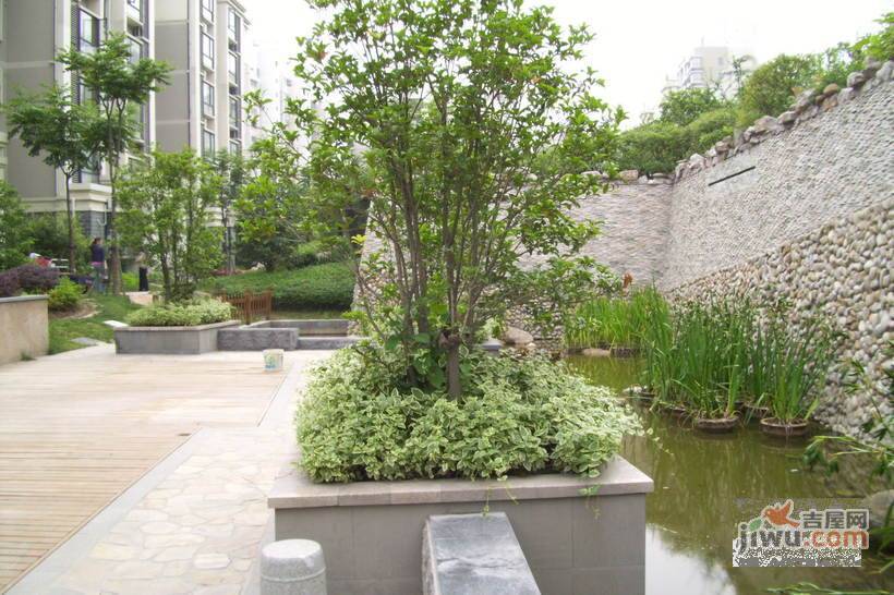 新天地荻泾花园实景图图片