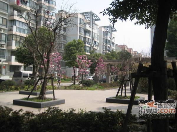 嘉秀新苑实景图图片