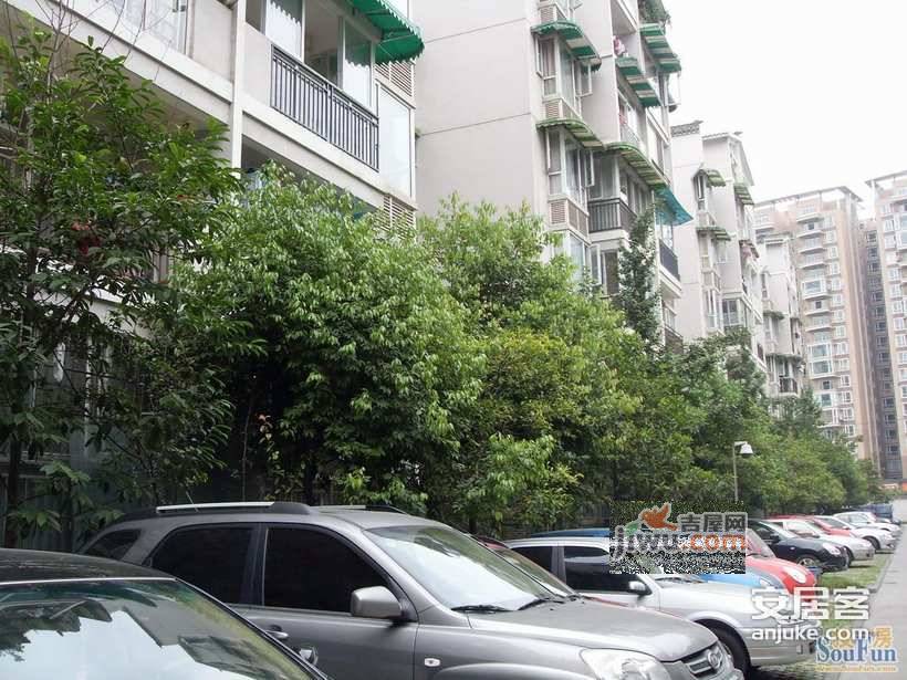 嘉秀新苑实景图图片