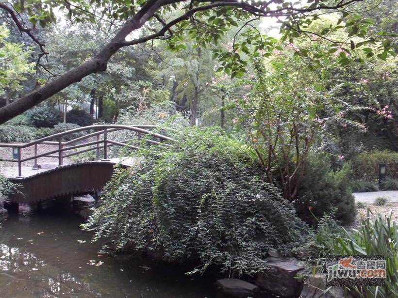 新华苑实景图图片