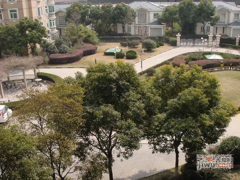 金俊苑实景图图片