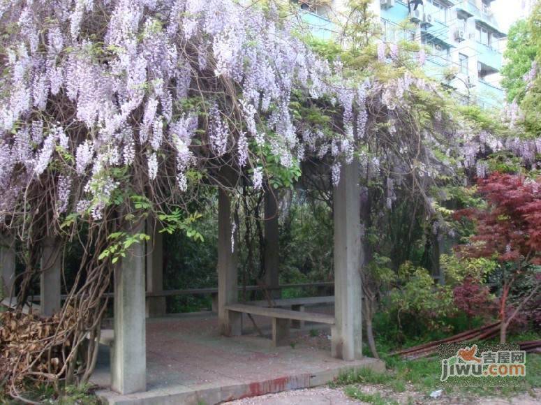 星丰苑实景图图片