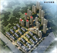 泰禾·万邦城实景图图片