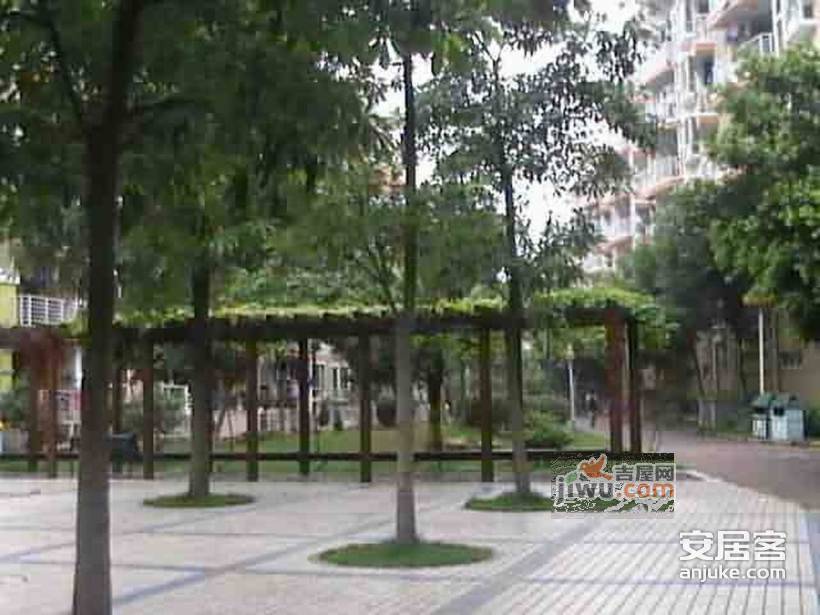 榭丽花园实景图图片
