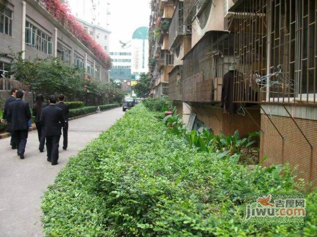 荔园新村实景图图片