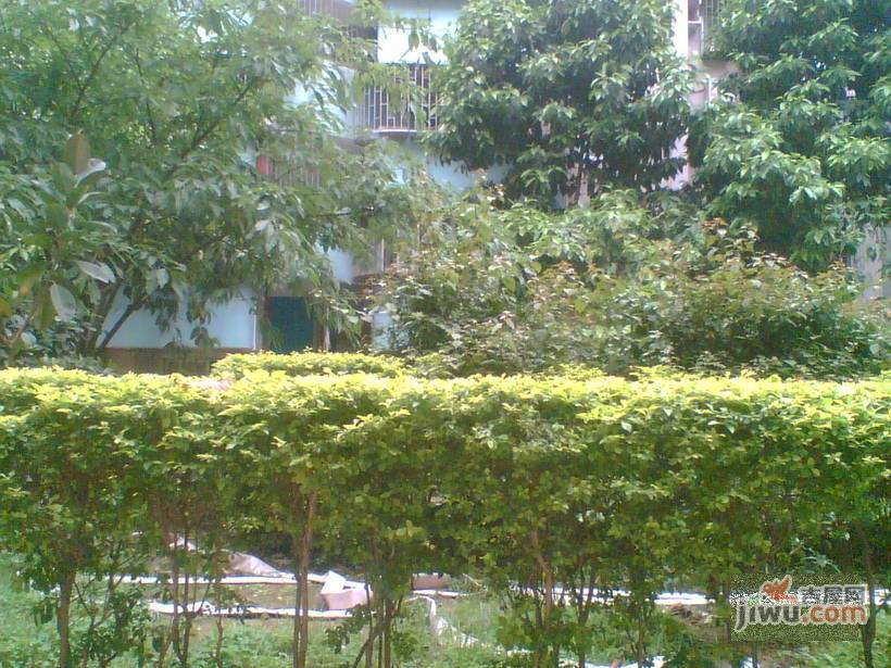 宝明花园实景图图片