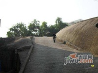 布吉新村实景图图片