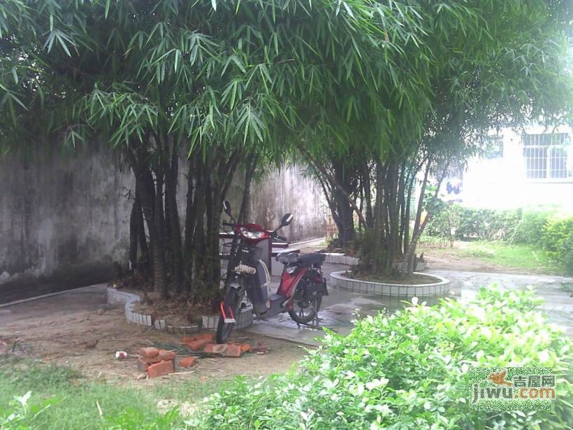 万家园实景图图片