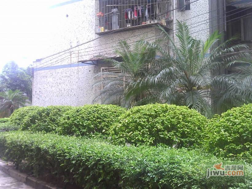 万家园实景图图片