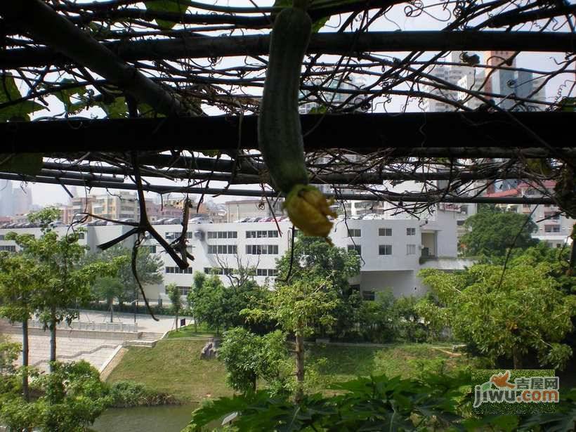 深港新村实景图图片