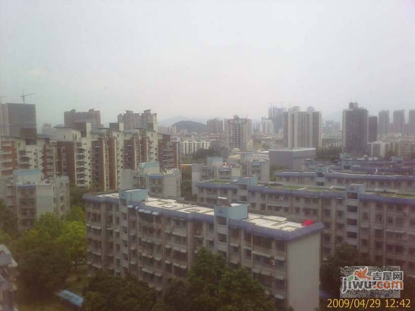 翠竹园实景图图片