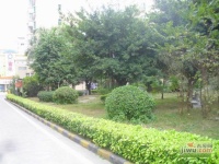 长海雅园实景图图片