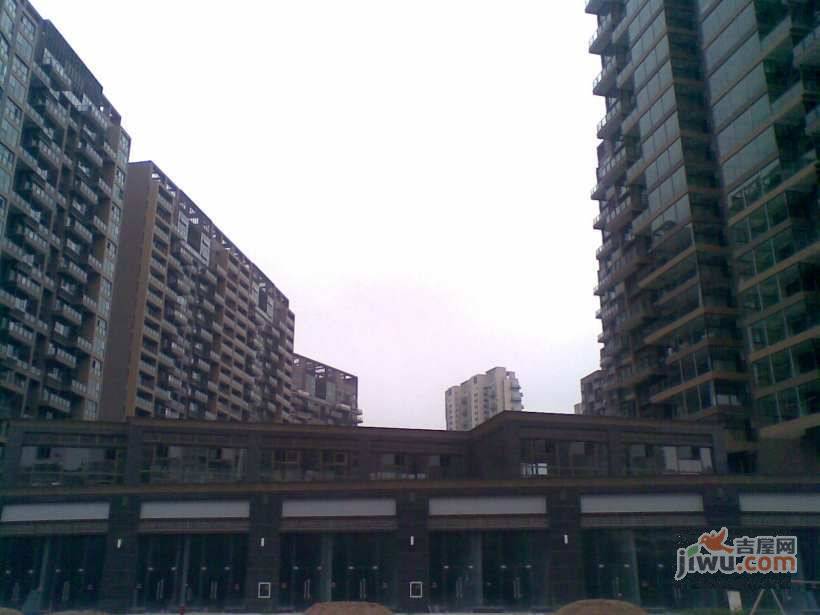 卓越维港实景图图片