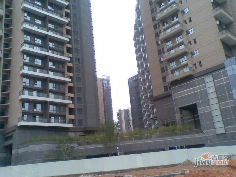 卓越维港实景图图片