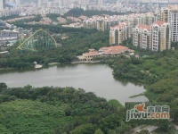 花样年香年广场实景图6