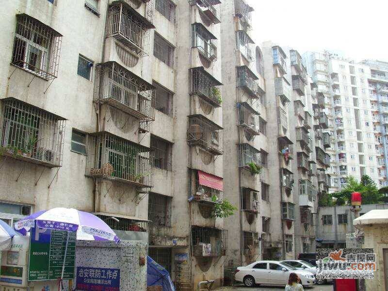 莲花阁实景图图片