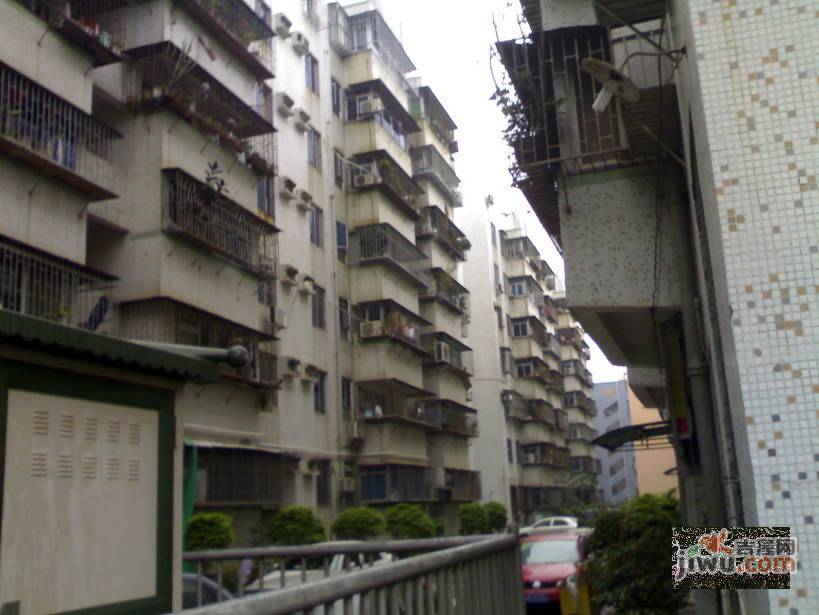 莲花阁实景图图片