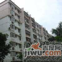 莲花阁实景图图片