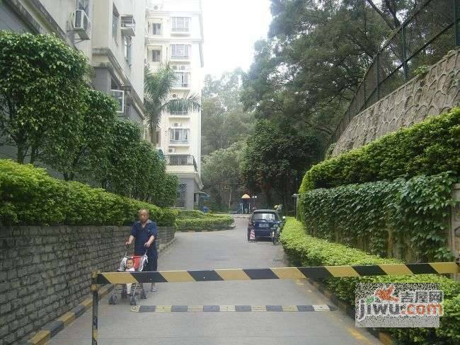 翠雅居实景图图片