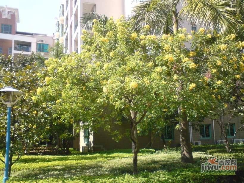 瑞城御林公馆实景图图片