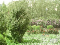 振业花园实景图图片