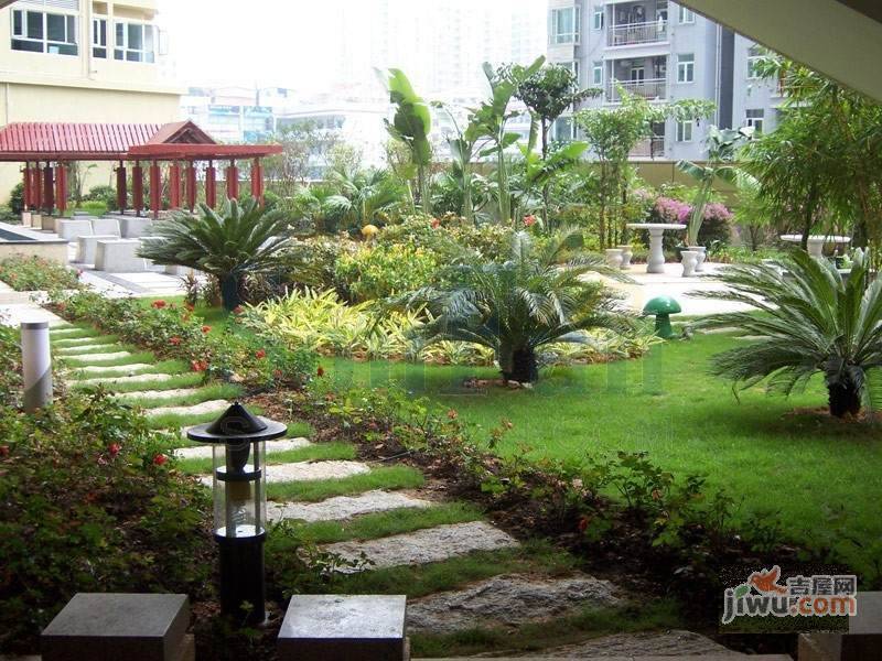 新中苑实景图图片