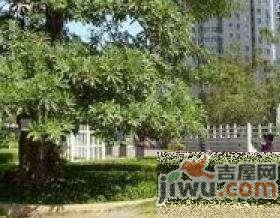 银庄大厦实景图图片