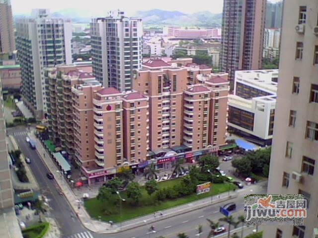 银庄大厦实景图图片
