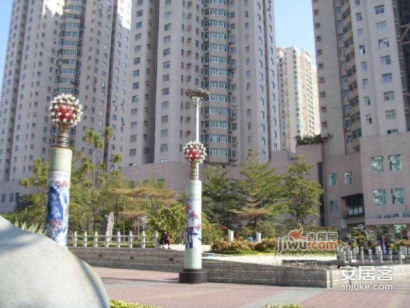 银庄大厦实景图图片