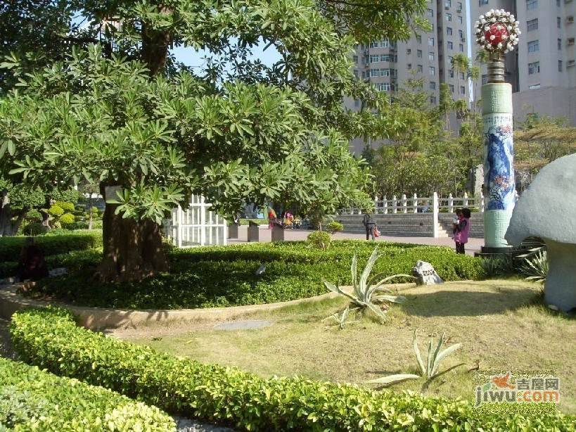 银庄大厦实景图图片